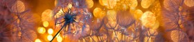 Кухонный фартук Мерцание Одуванчики золотистые 3 серебро в Брянске - bryansk.katalogmebeli.com | фото